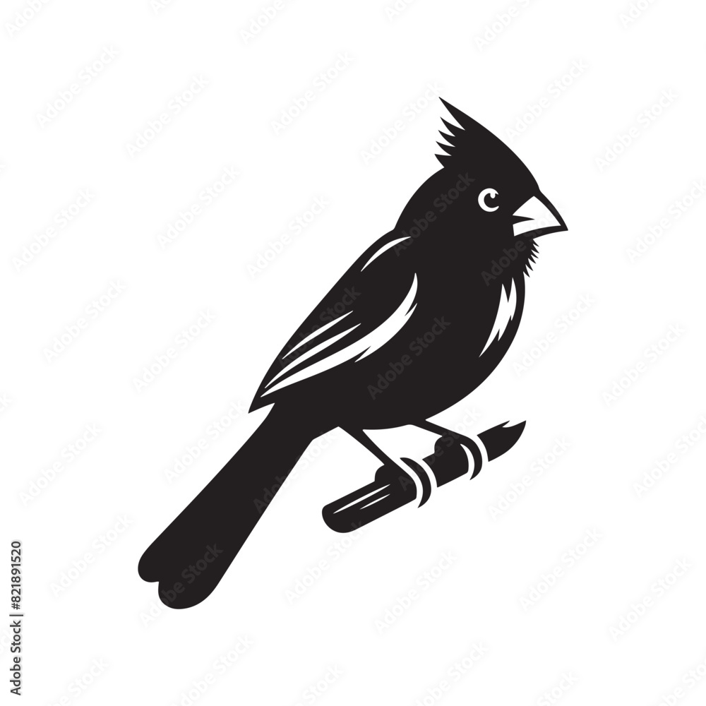 Obraz premium Cardinal Silhouette: Black Vector Art - Capturing the Bold Elegance and Distinctive Presence of These Iconic Birds- Cardinal bird Vector - Cardinal Bird Illustration.