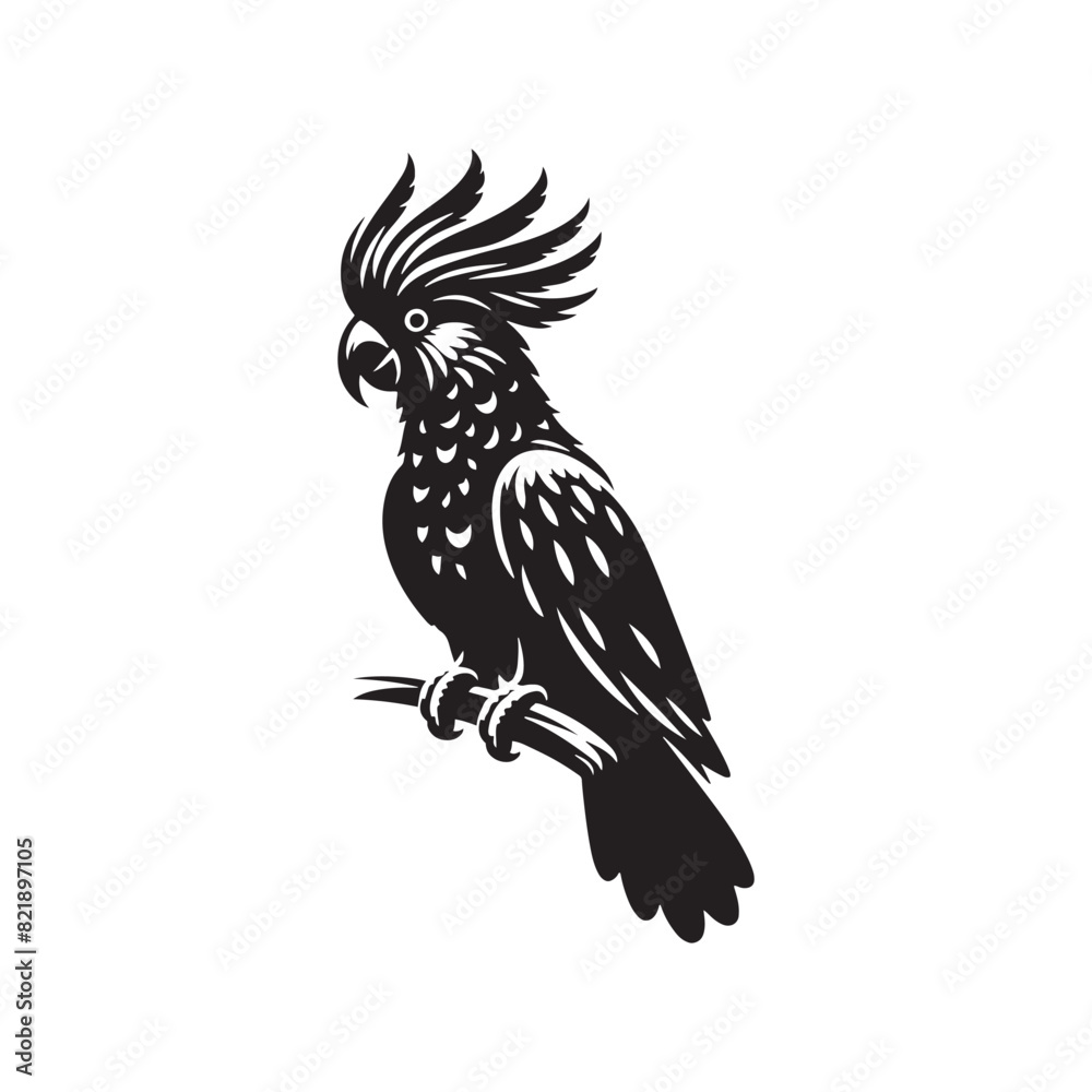 Cockatoo Silhouette: Bold Black Vector Art Capturing the Majestic Beauty and Charisma of These Iconic Parrots- Cockatoo Parrot Vector- Cockatoo Parrot Illustration.