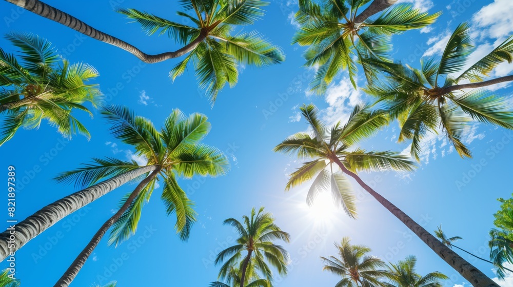 Tall palm trees with lush fronds swaying against a clear blue sky create a serene tropical atmosphere. Tall palm trees with lush fronds swaying against a clear blue sky create a serene tropical atmosphere.