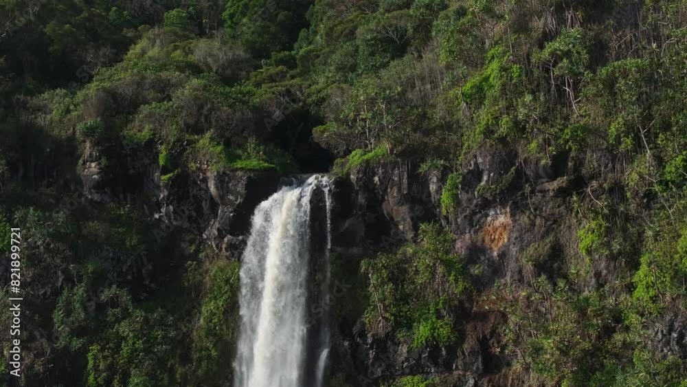 Scenic waterfall plunge over jungle cliff edge on Maui North Shore, drone slomo Scenic waterfall plunge over jungle cliff edge on Maui North Shore, drone slomo