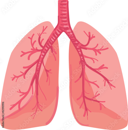 Digital illustration of human lungs and trachea, highlighting respiratory anatomical features