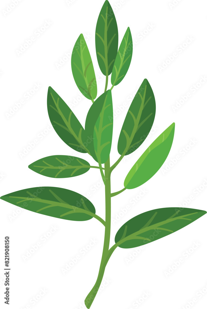 Vector illustration of a vibrant green plant branch with detailed leaves
