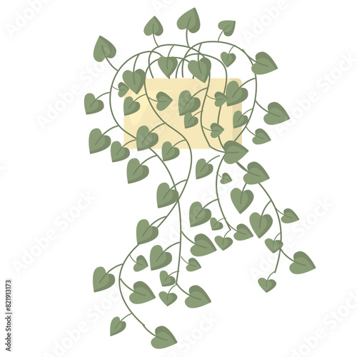 Green houseplant with many little leaves in flower pot isolated on white background