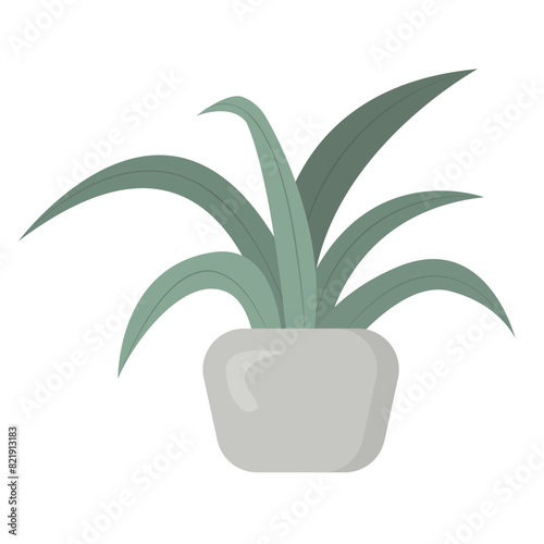 Green houseplant in flower pot isolated on white background