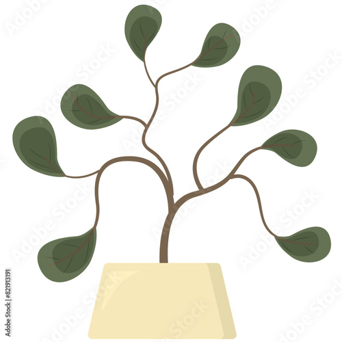 Green houseplant in flower pot isolated on white background