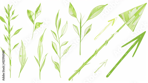 A selection of variations of green leaves on a white background  the concept of spring and summer foliage