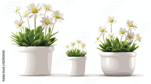 3d flower pot with plant icon. Chamomile flowerpot  © Bill