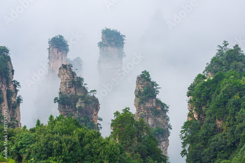 Konstfotografi Irregularly shaped sandstone pinnacles partly shrouded in fog, Zhangjiajie Natio