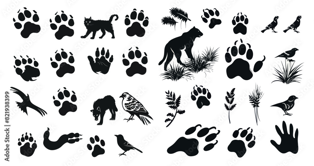 Footprint tracks of wild animals. Wild animal paw silhouette, pet trail, bird footstep.