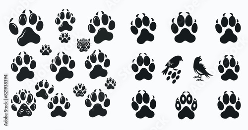 Modern set of animal paw prints. Cartoon mammal footprints, black bird foot. photo