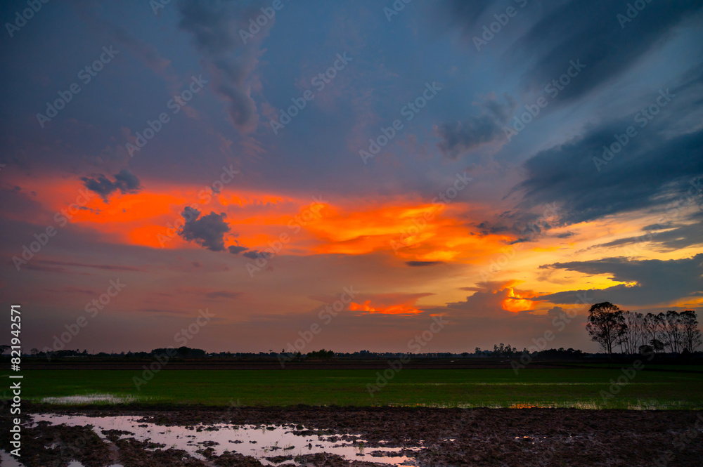 Silhouette tree with sunset.Tree silhouetted against a setting sun.Beautiful clouds,Sunlight with dramatic sky,Thailand,Asia.Photo landscape open green field Silhouette tree with sunset.Tree silhouetted against a setting sun.Beautiful clouds,Sunlight with dramatic sky,Thailand,Asia.Photo landscape open green field