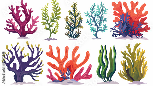 Seaweed and coral color underwater plant cartoon vector