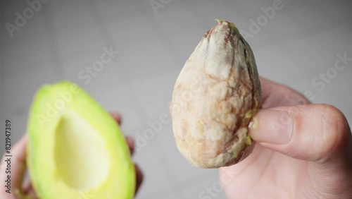 Hand Removes Pit From Ripe Cut Avocado Fruit Then Put It Back, Close Up photo