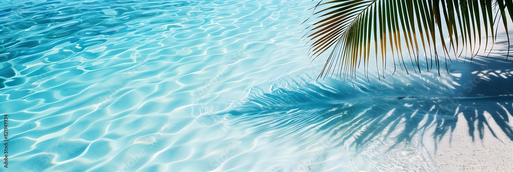 Palm Leaves Shadow on Beach Ocean Summer Vacation Theme Background Wallpaper 