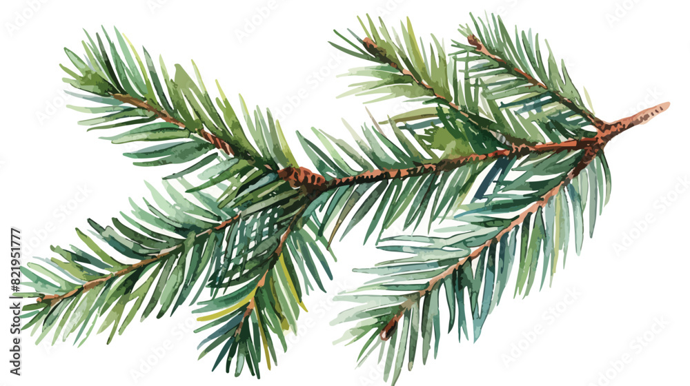 Spruce branch watercolor fir branch Christmas tree 