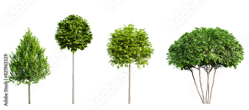 Set of various urban trees isolated on transparent background. 3D render.