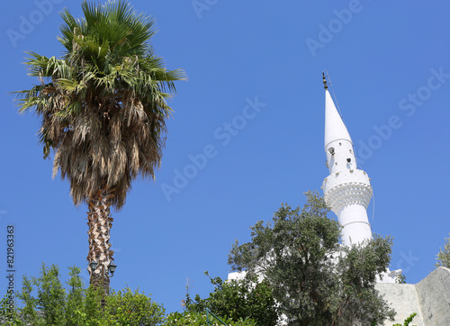 Palm Tree and White Painted Mosque with Blue Sky Background in Kalkan, Turkey