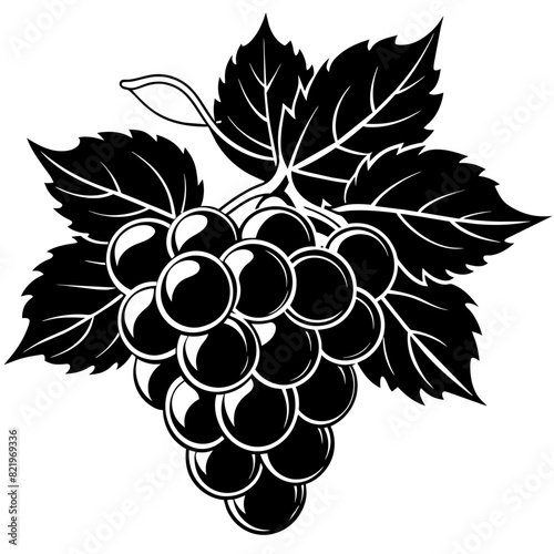 Bunch of grapes with leaves. Black and white vector illustration. Design for labels, packaging, print. © milanchikov