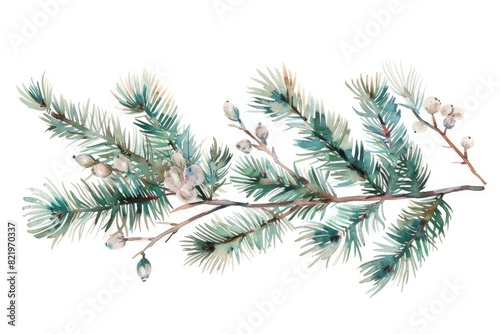 A detailed watercolor painting of a pine tree branch. Suitable for nature-themed designs