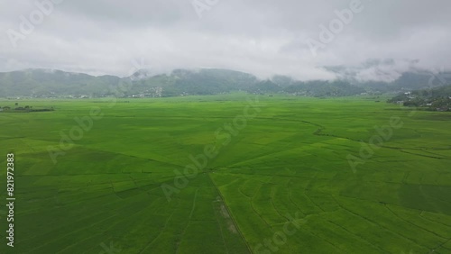 Aerial view of lush rice fields and village with spider web pattern, Ruteng, Flores, Indonesia. photo