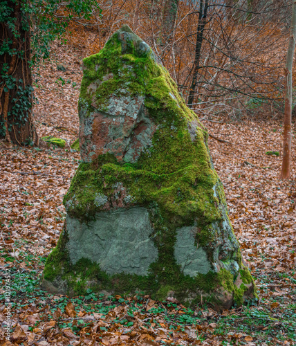 Standing stones Duffryn woods, Mountain Ash, South Wales. photo