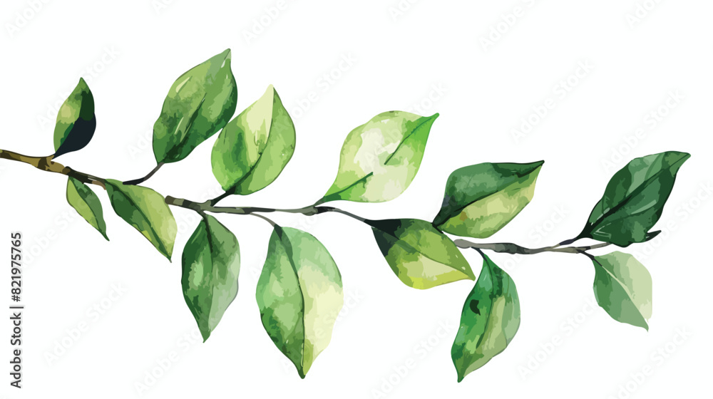 Watercolor branch leaves green leaf for printing 
