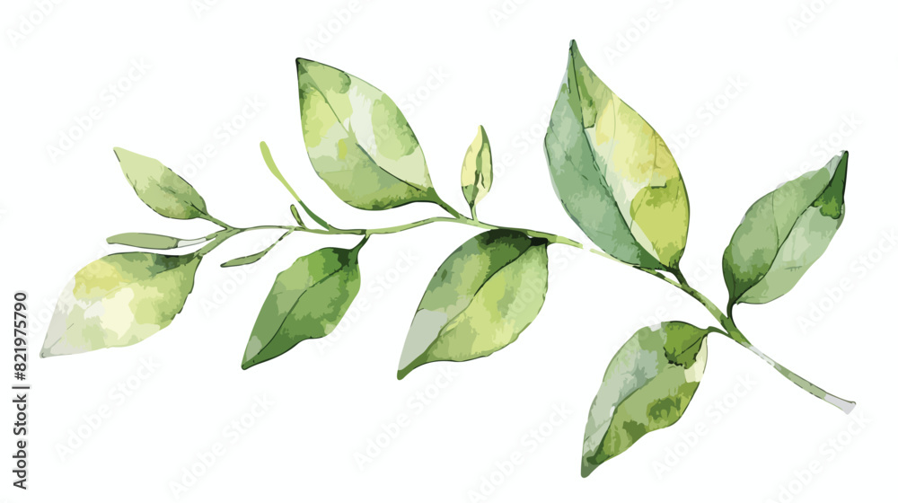 Watercolor branch leaves green leaf for printing 