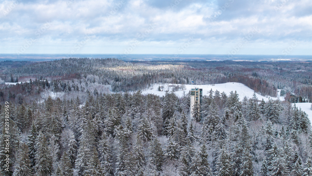 Aerial view of the snow-clad forested Suur-Munamagi hill with watchtower and Estonian flag flying Aerial view of the snow-clad forested Suur-Munamagi hill with watchtower and Estonian flag flying