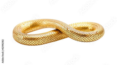 golden snake on white