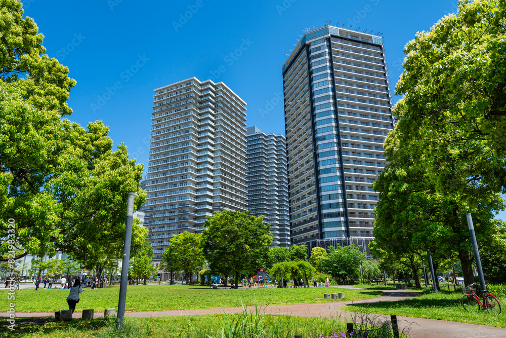 新緑の「高島中央公園」の風景(2024年5月) 新緑の「高島中央公園」の風景(2024年5月)
