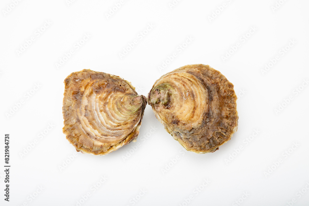Oyster shell isolated on a pure white backdrop, showcasing its detail and structure Oyster shell isolated on a pure white backdrop, showcasing its detail and structure