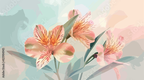 Delicate alstroemeria flowers on color background 