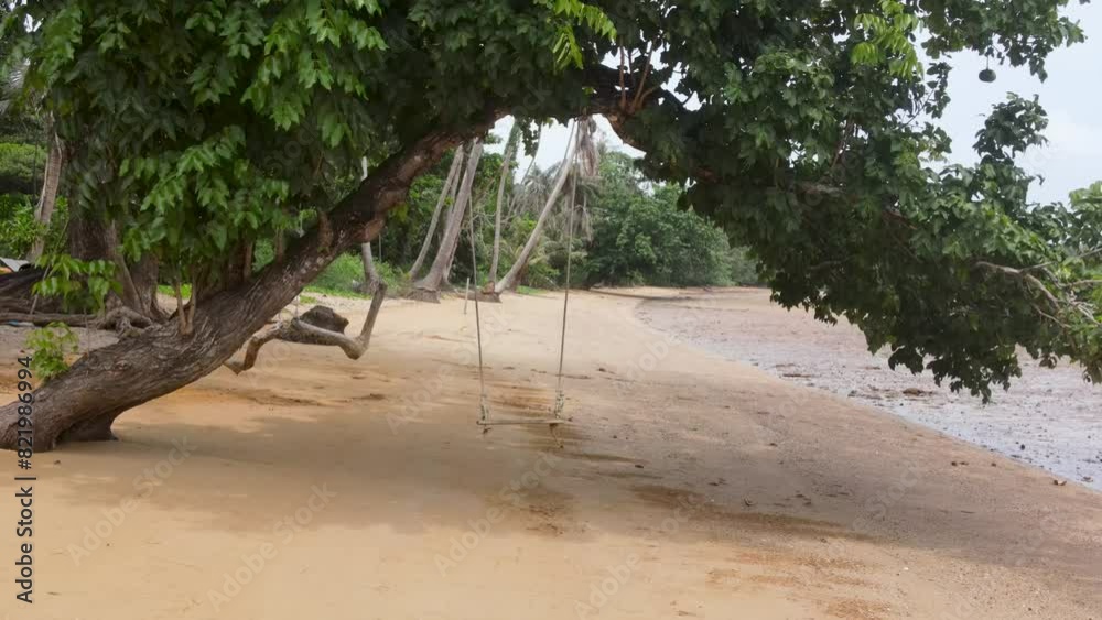 Aerial View Of Tree Swing On Ao Tan Beach At Koh Mak. Pull Back Shot Aerial View Of Tree Swing On Ao Tan Beach At Koh Mak. Pull Back Shot