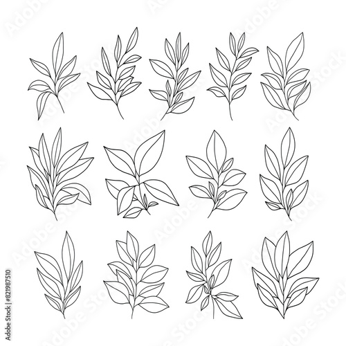 Set of branch and leaves vector