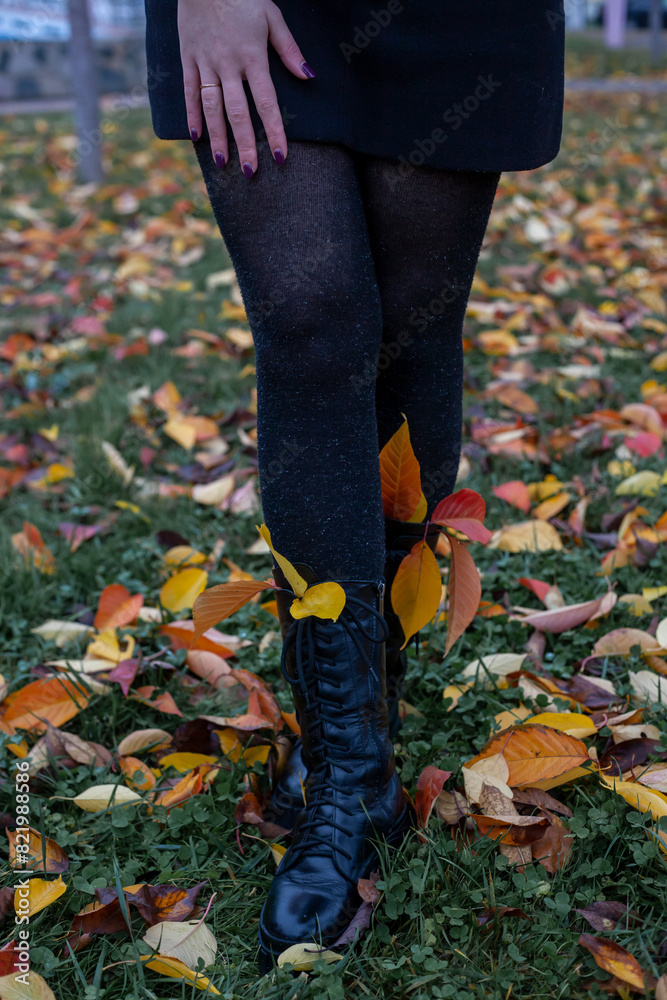 legs of woman in autumn park legs of woman in autumn park