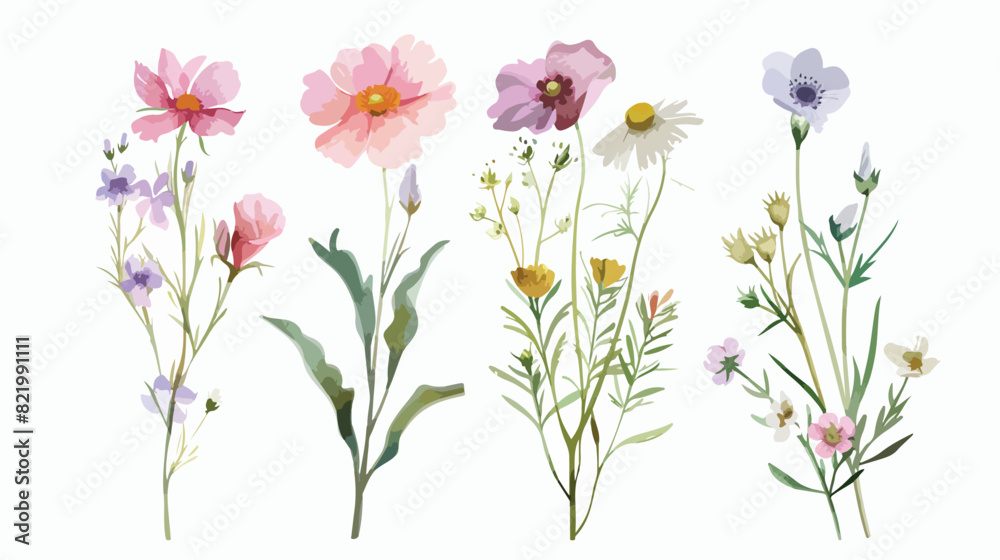 Wild flowers Four  watercolor hand painting digital 