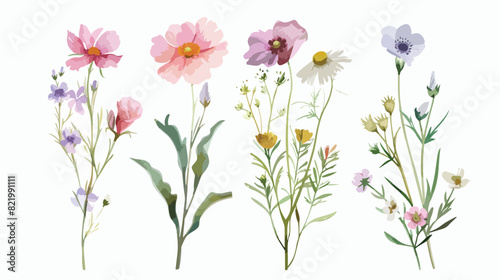Wild flowers Four watercolor hand painting digital 