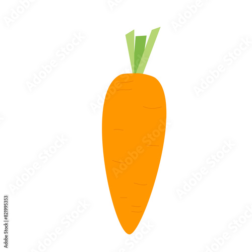 Carrot isolated on white background. Mini vegetable. Vector hand drawn illustration photo
