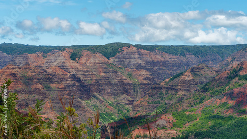 Waimea Canyon State Park, Island of Kauai, Hawaii, USA