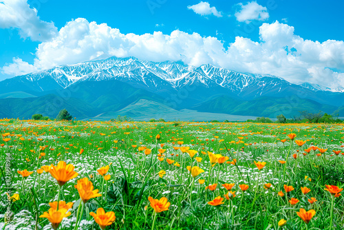 Vibrant wildflowers bloom in a vast meadow with snowcapped mountains in the background under a bright blue sky.