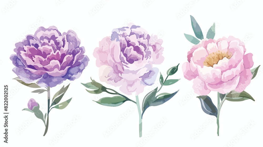 Watercolour Floral Bouquets Violet Peonies Summer Arr