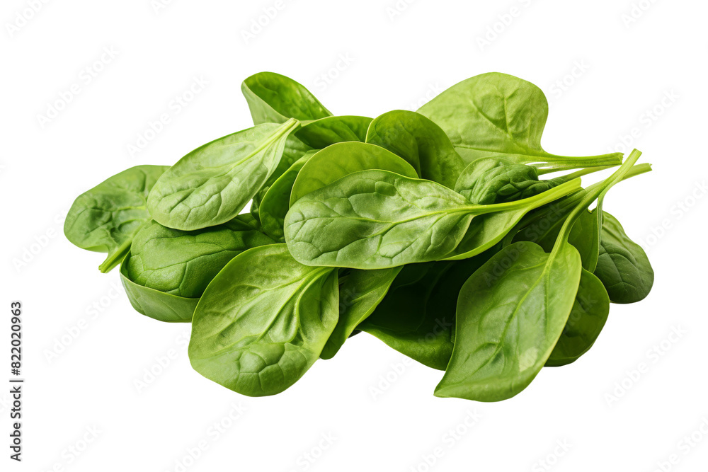 The Verdant Cascade on a Clear PNG or White Background. The Verdant Cascade on a Clear PNG or White Background.