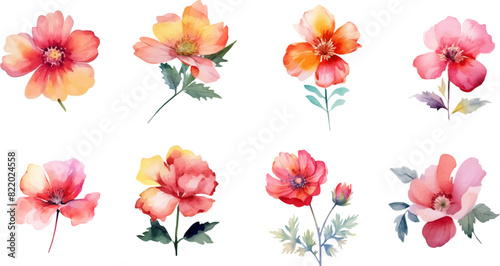 Set of beautiful floral elements for composition. Use for cloth, greeting card, invitation, wedding concept, arrangement, floral poster, woman cloth, fabric, floral bouquets. Vector eps illustrator.