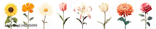 Flower aesthetic illustration png element set on transparent background