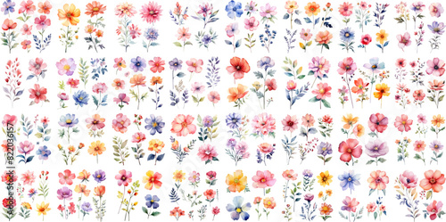 A Big watercolor floral package collection. Use by fabric, fashion, wedding invitation, template, poster, romance, greeting, spring, bouquet, pattern, decoration and textile. 