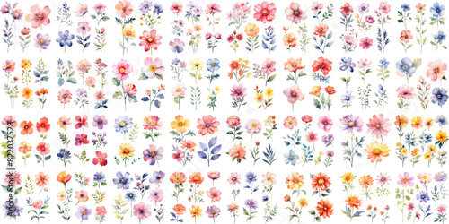 A Big watercolor floral package collection. Use by fabric, fashion, wedding invitation, template, poster, romance, greeting, spring, bouquet, pattern, decoration and textile.