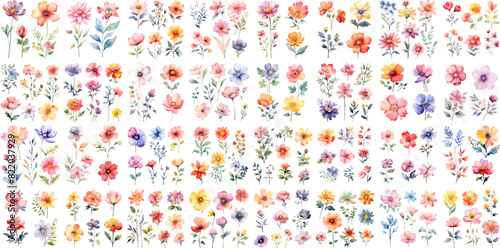 Set watercolor wildflowers elements collection. leaves and grass. Collection of botanic garden elements. wedding invitation, template, poster, romance, greeting, spring, bouquet, pattern, decoration.