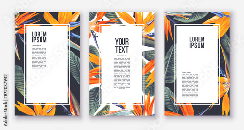 Strelitzia Tropical Flowers Poster Templates. Bird of Paradise flower vector. Realistic bright yellow with orange flowers on white and dark background. Frames, banners, place for text, postcards.
