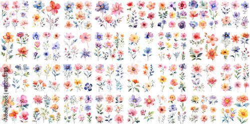 A Big watercolor floral package collection. Use by fabric, fashion, wedding invitation, template, poster, romance, greeting, spring, bouquet, pattern, decoration and textile. 