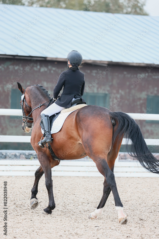 change of the rein. Equestrian sports, dressage. Shooting from the back. Vertical photo change of the rein. Equestrian sports, dressage. Shooting from the back. Vertical photo